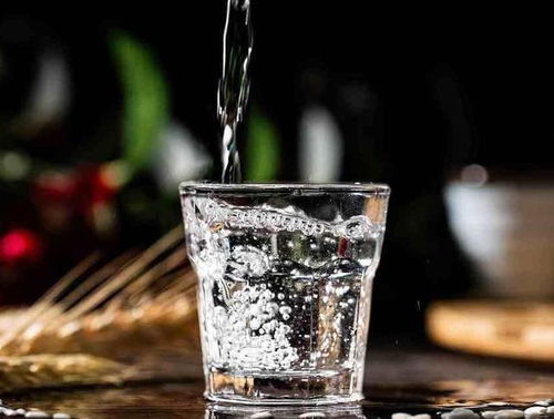 酒桌上备受欢迎的三款中档粮食酒，约60元价位，口感回味无穷