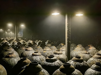 传统白酒酿酒微生物的基本特征与作用